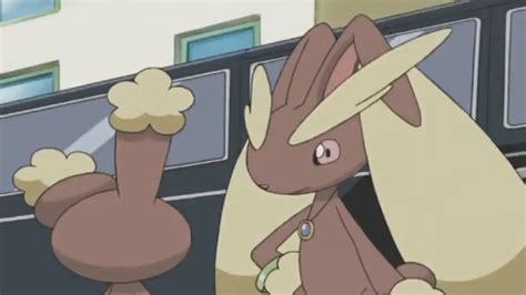 Lopunny Hentai Porn Videos 